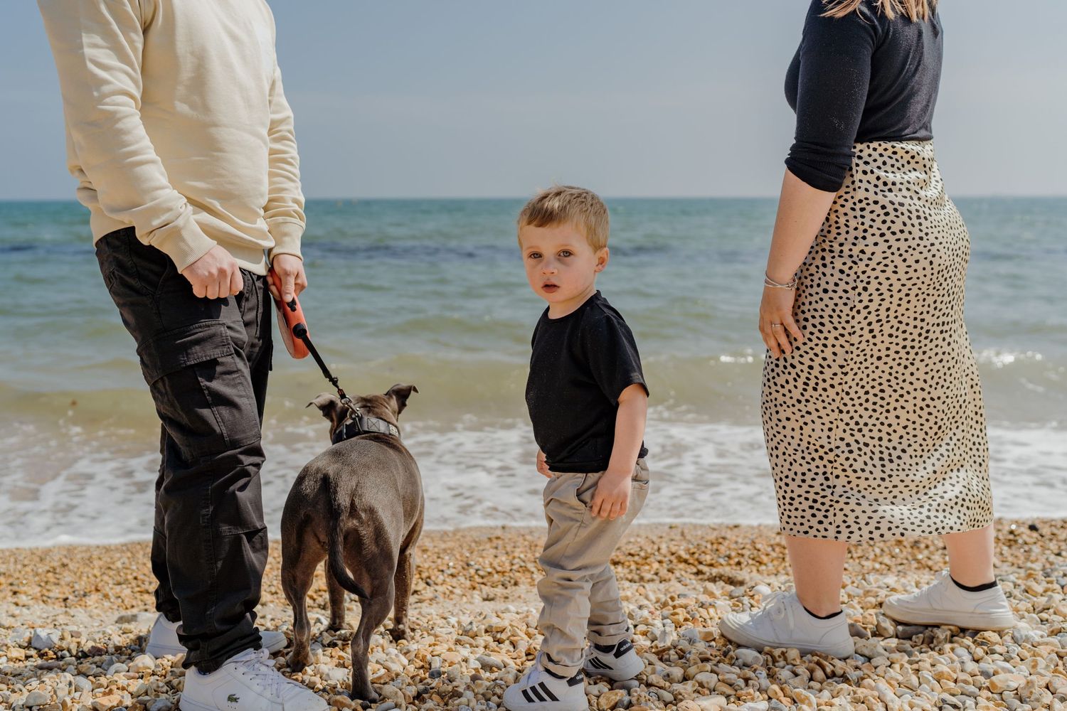People and dogs walking together on a sunny pebble beach shoreline.