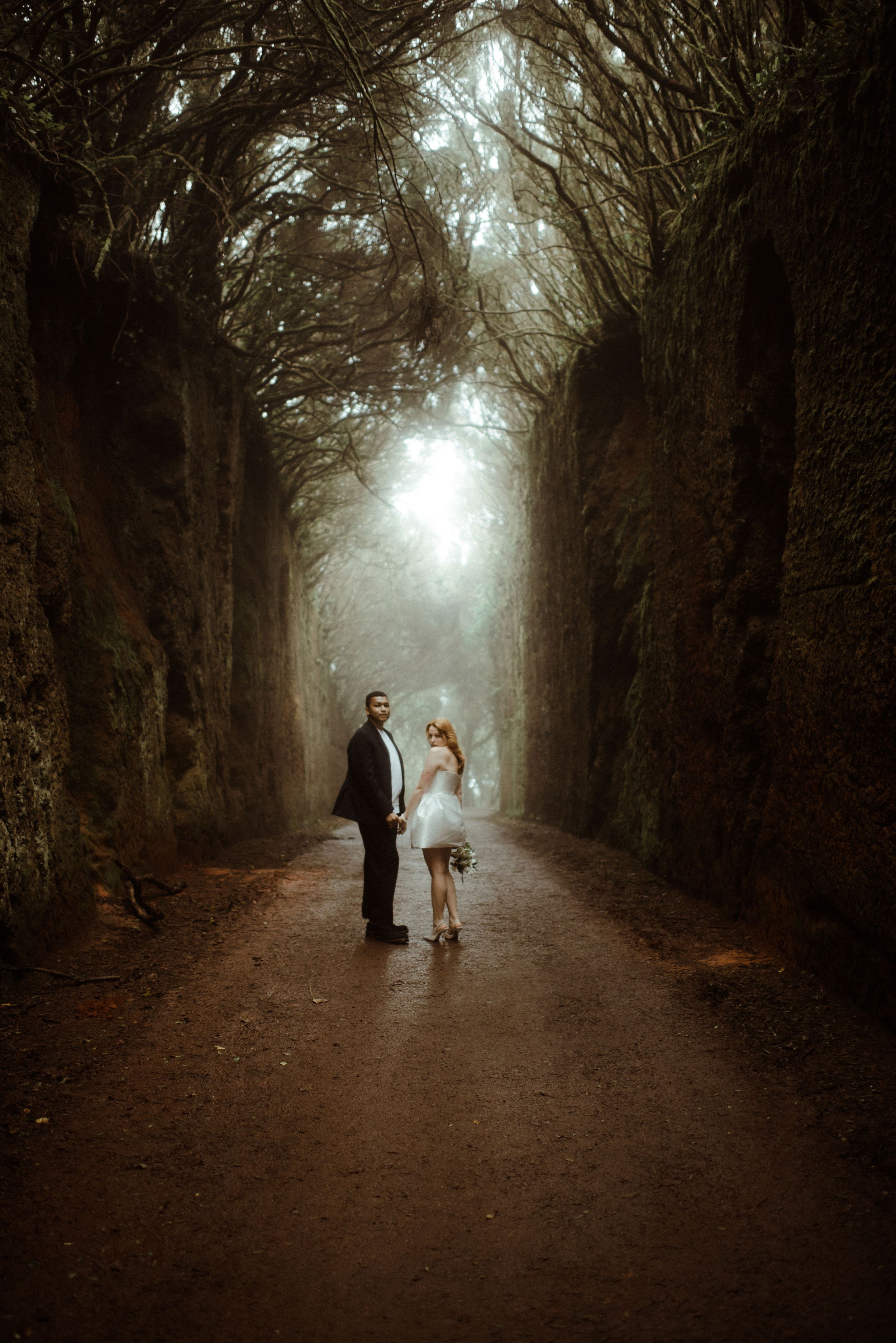 A romantic foggy forest path with a couple in wedding attire standing beneath towering trees.
