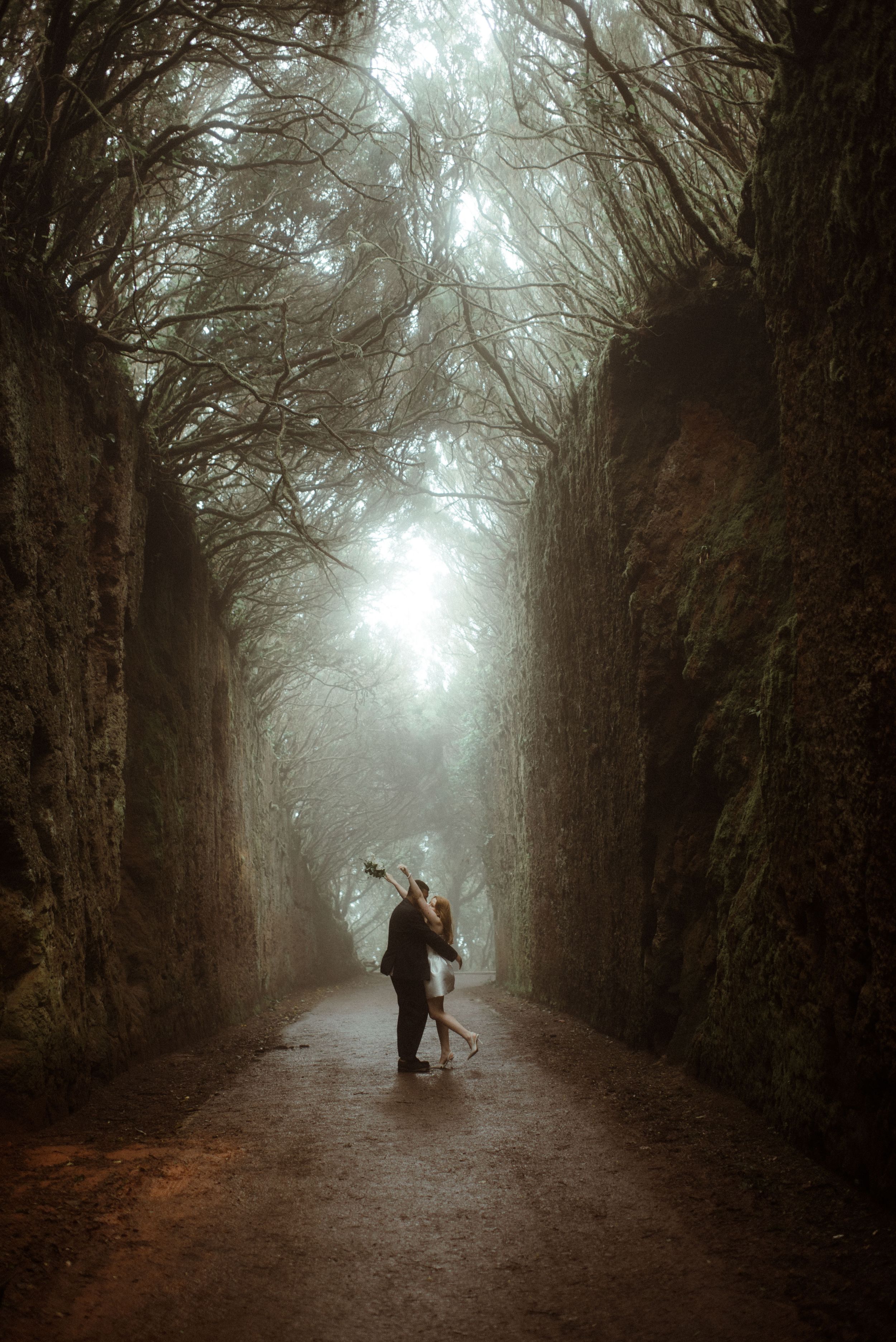 A shadowy figure with an umbrella walking through a foggy tree-lined path.