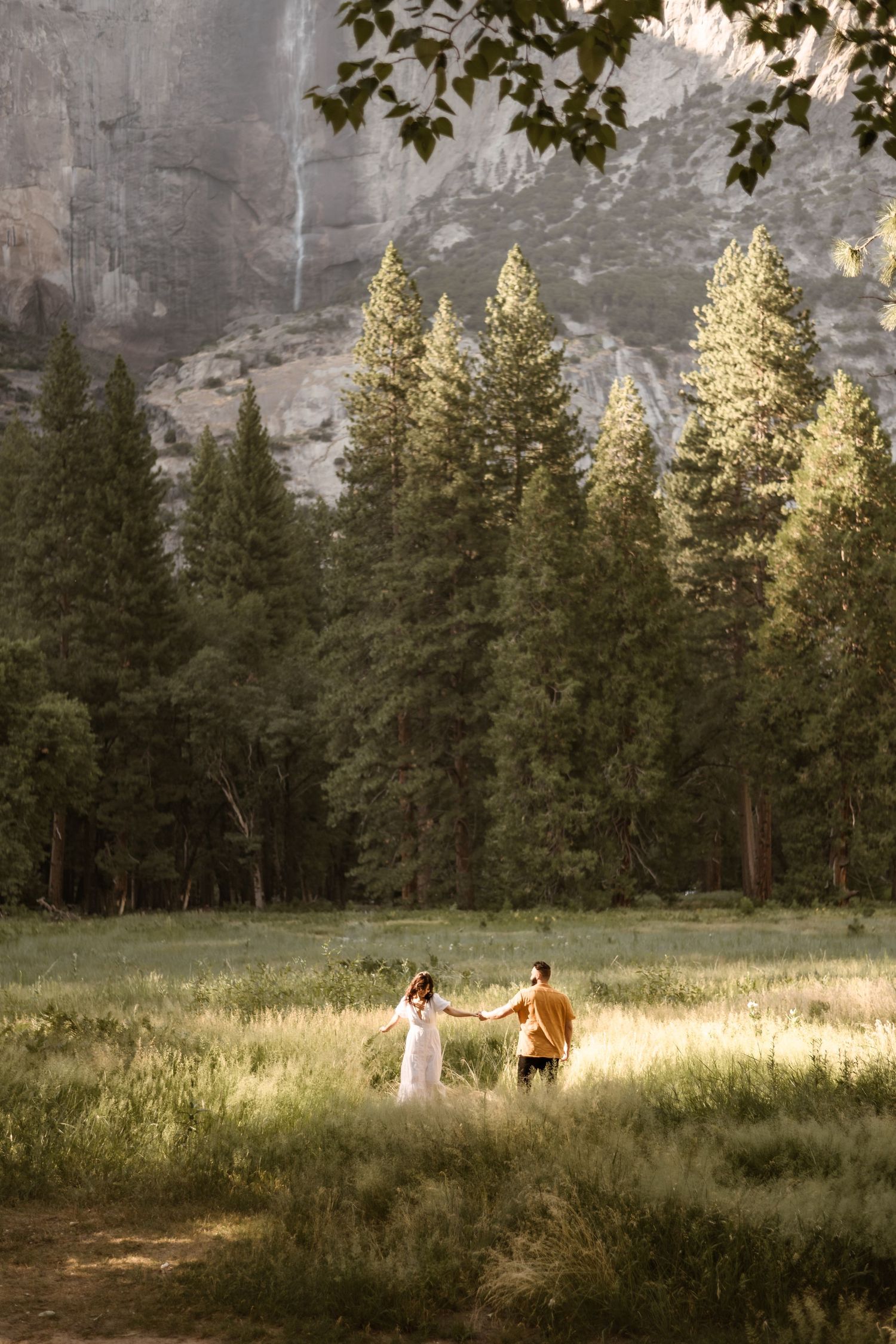 Sunlit meadow in Yosemite Valley with towering granite cliffs and pine trees in background.