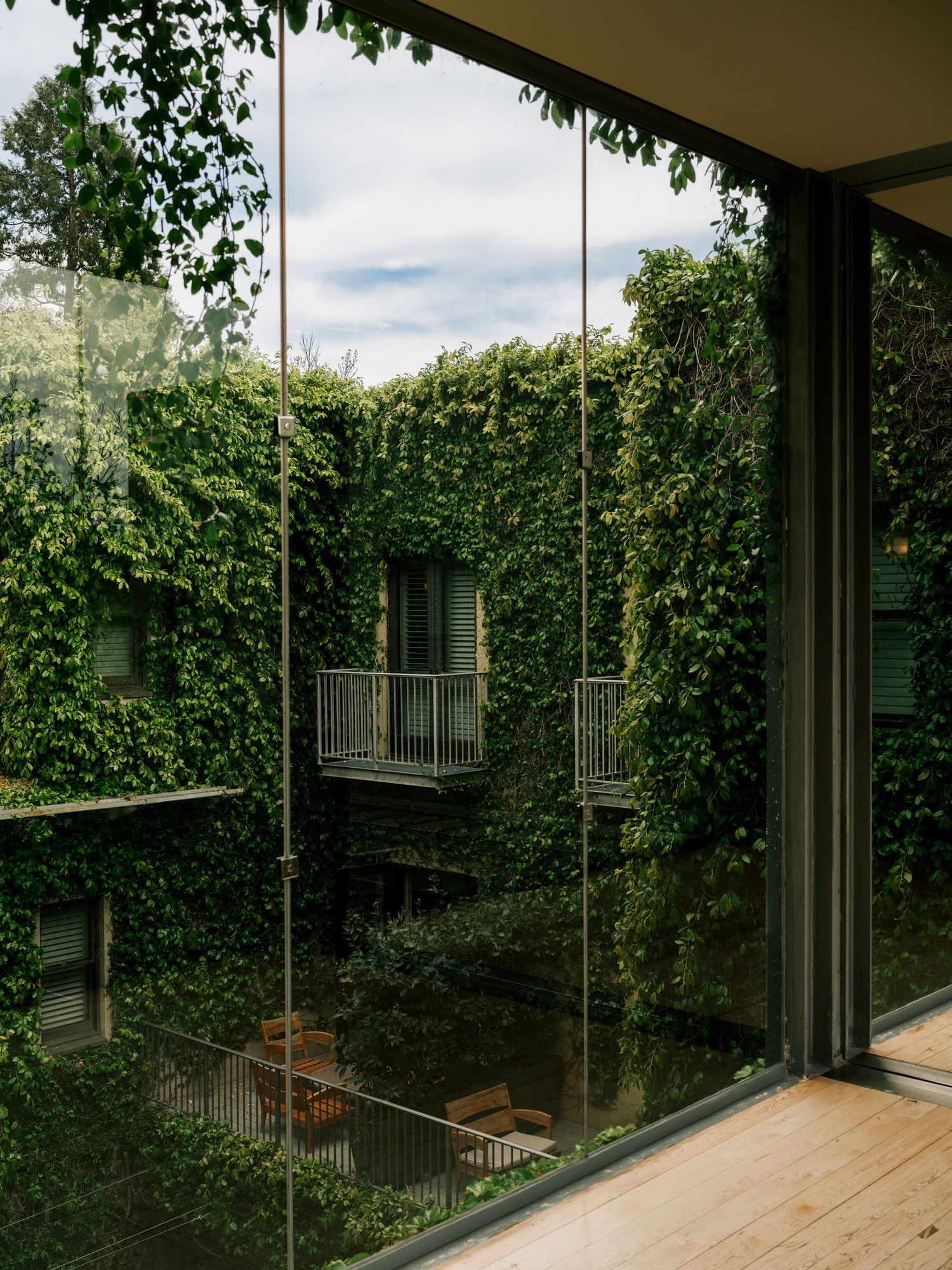 A modern house interior with floor-to-ceiling glass windows overlooking a lush green hedge wall and wooden deck.