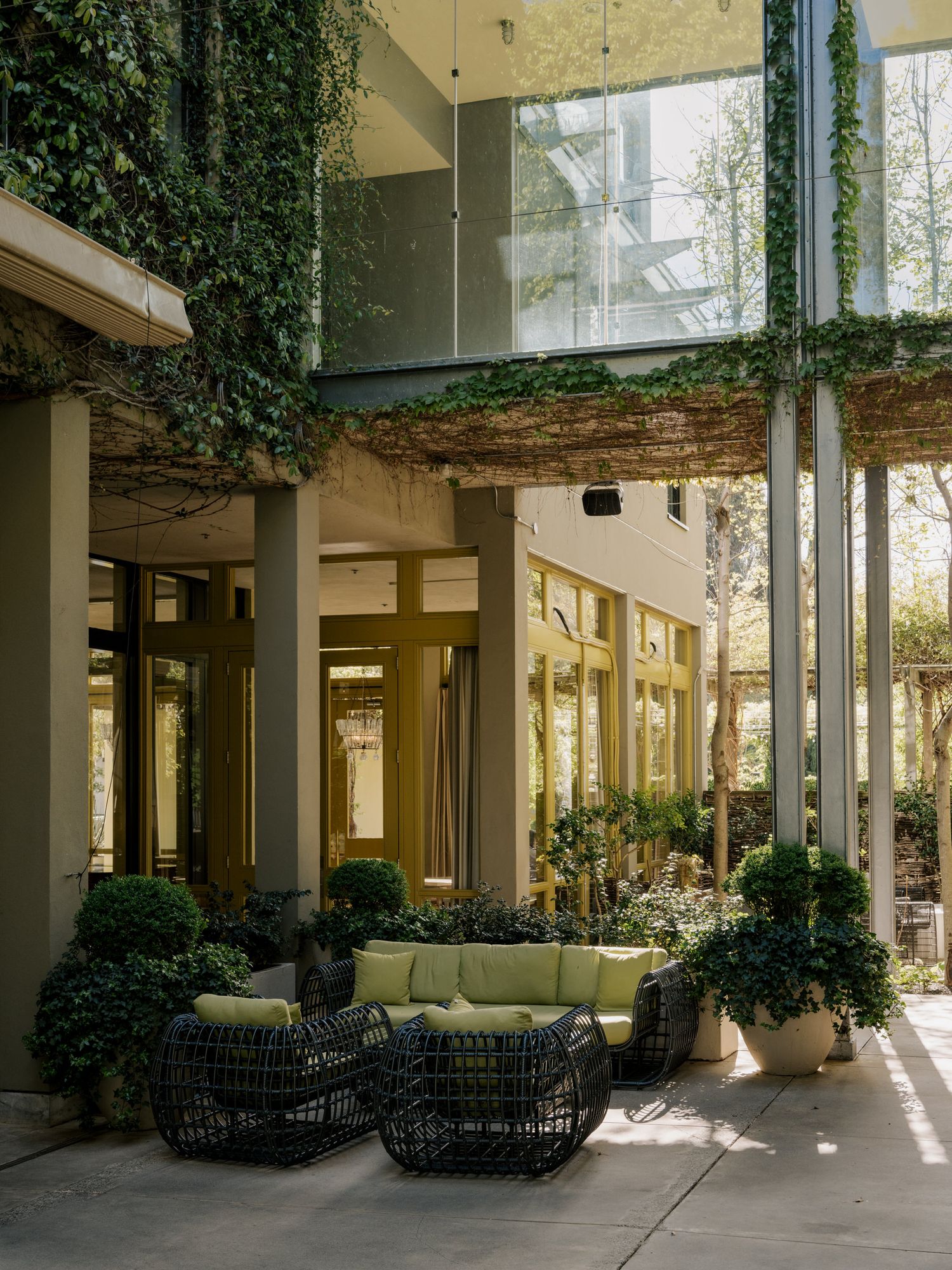 Modern outdoor patio area with climbing ivy, glass walls and contemporary black wicker furniture with green cushions.