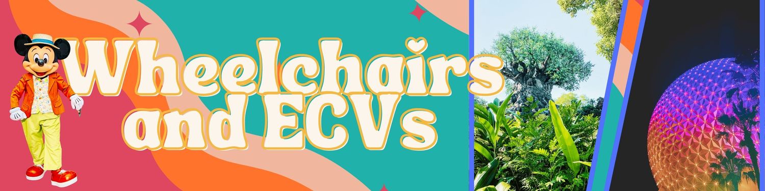 Whimsical header design with colorful gradient background and text reading 'Wheelchairs and ECVs'.