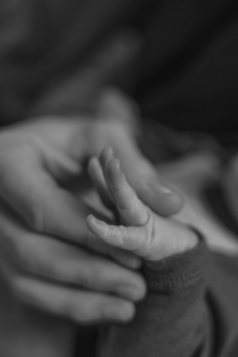 A delicate black and white close-up of tiny baby fingers held in adult hands.