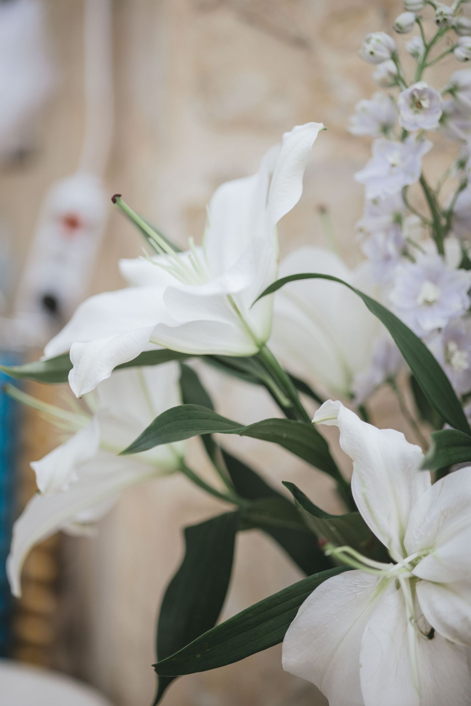 Close-up of elegant white lilies with green stems and leaves against a soft blurred background.