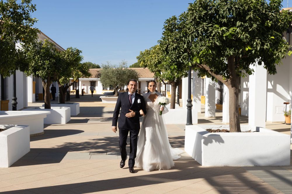 A panoramic view of a Mediterranean-style courtyard with white buildings and trees lining a paved walkway.