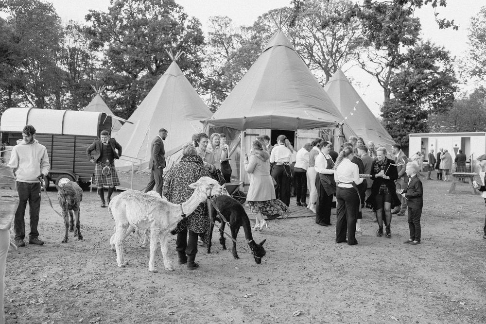 A series of black and white photographs showing people gathered around teepees and tents at an outdoor event.