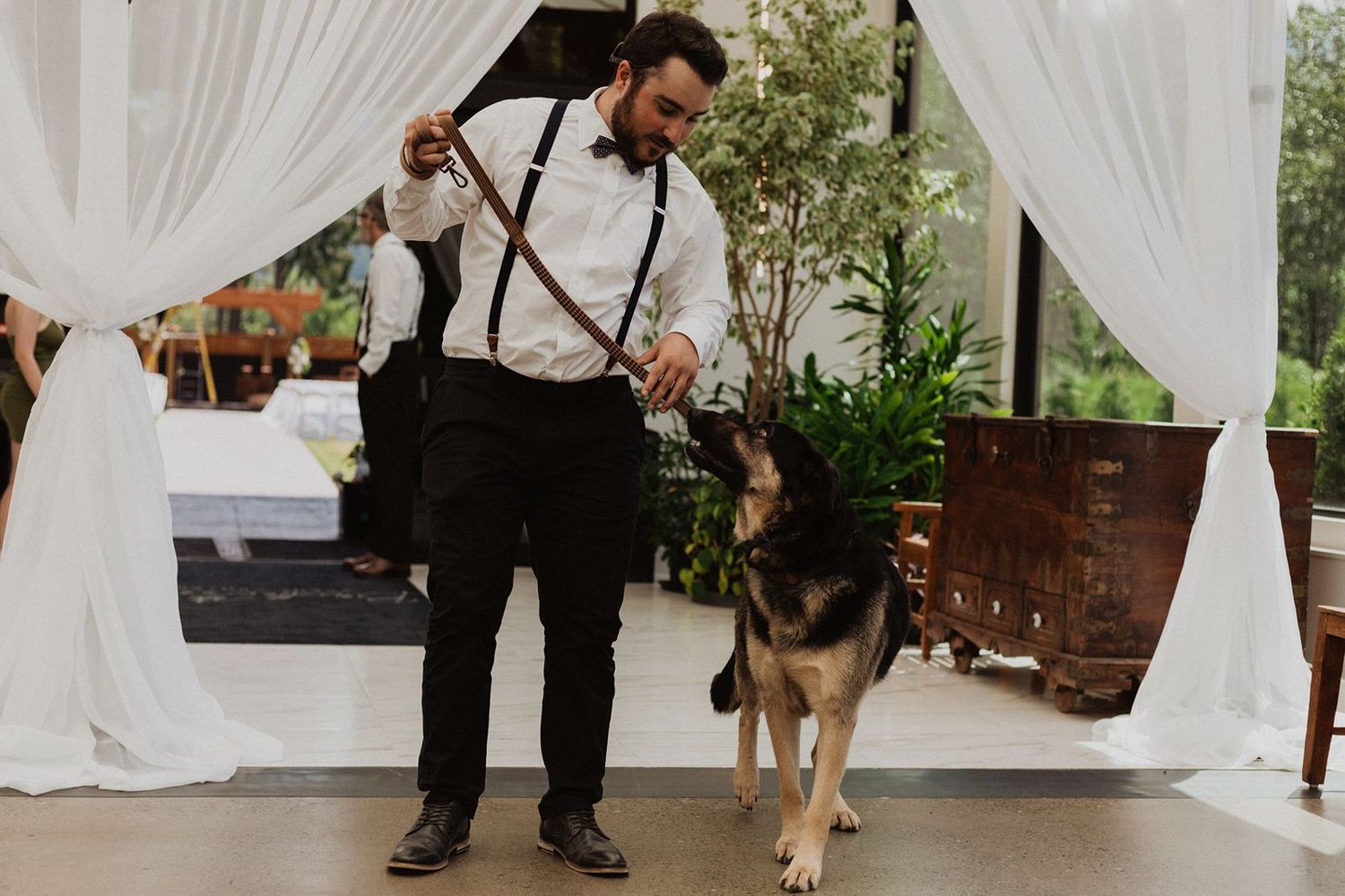 Man in suspenders and bow tie playing with a German Shepherd dog near white draped curtains.