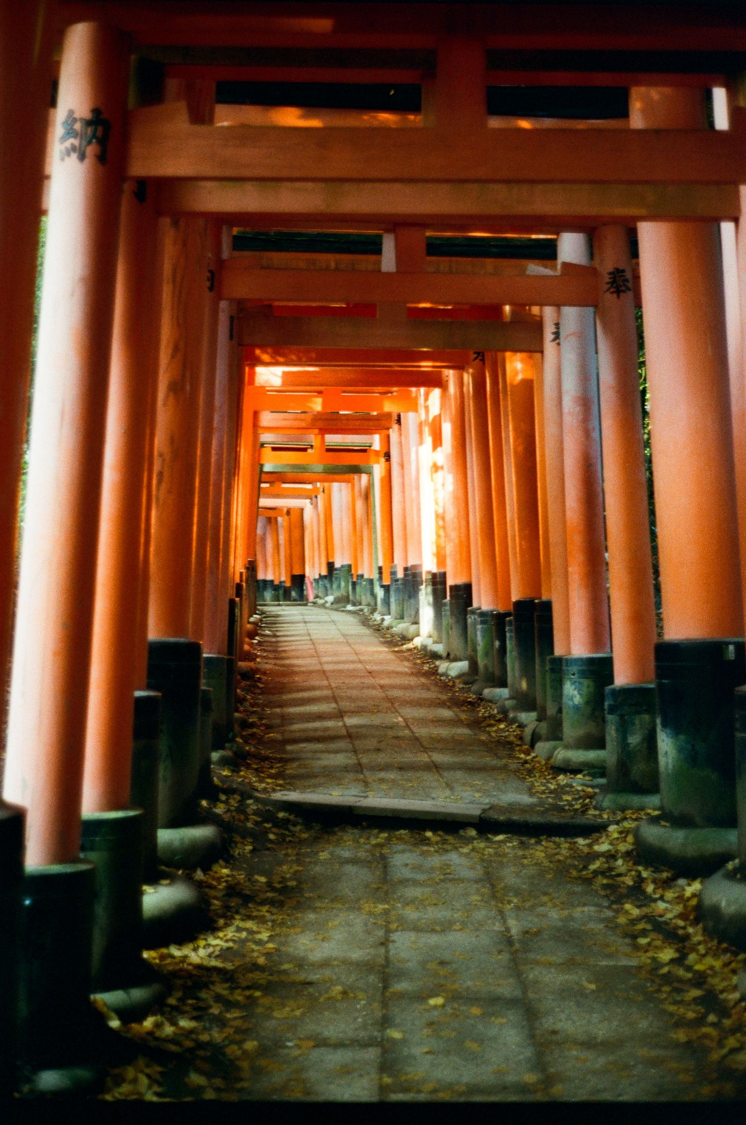 Bronze lanterns with ornate traditional Japanese architecture line the pathway at a historic temple.