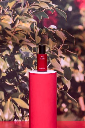 Product Launch