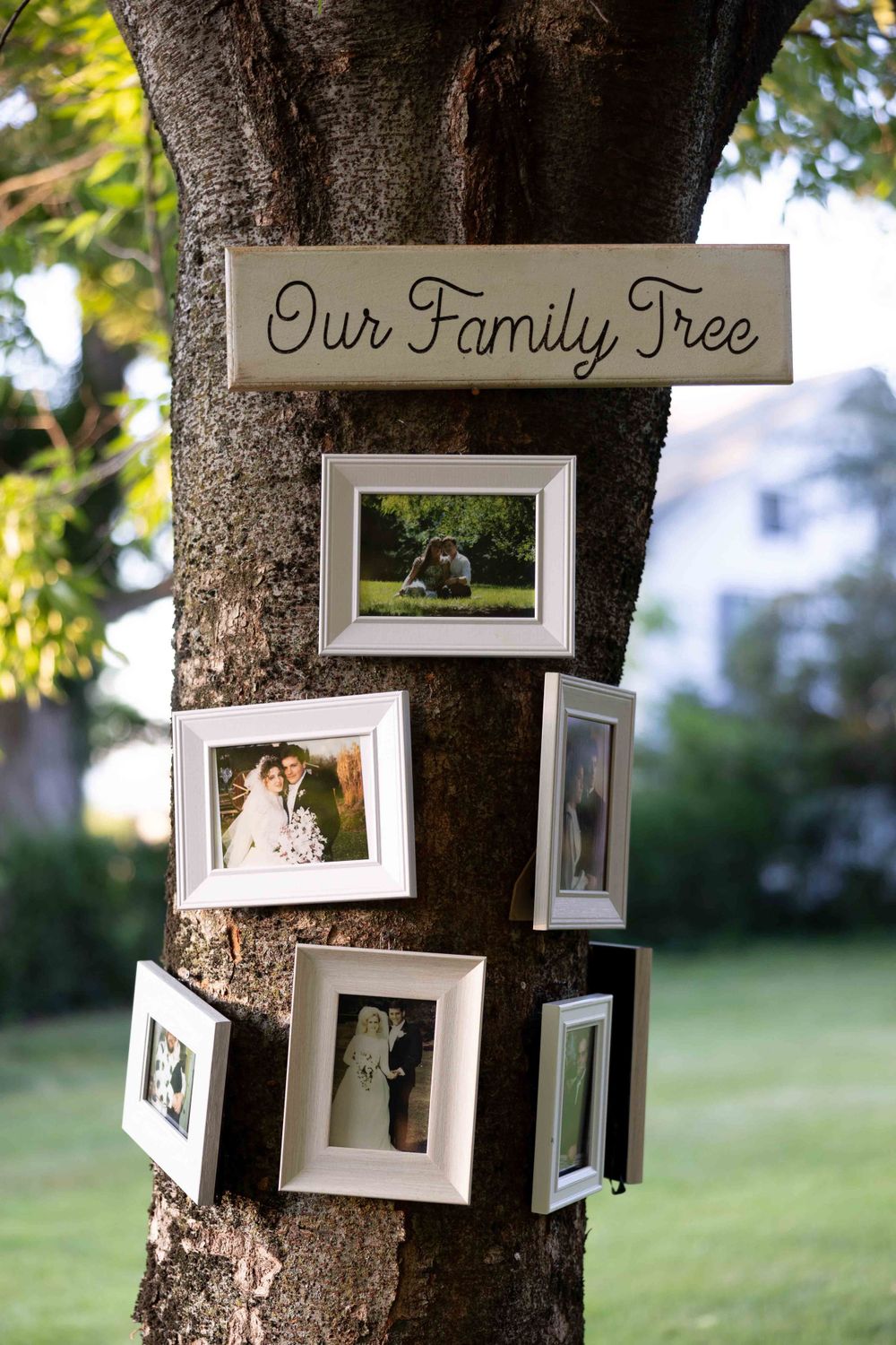 White framed photographs hang on a tree trunk with a decorative 'Our Family Tree' sign mounted above them in an outdoor setting.
