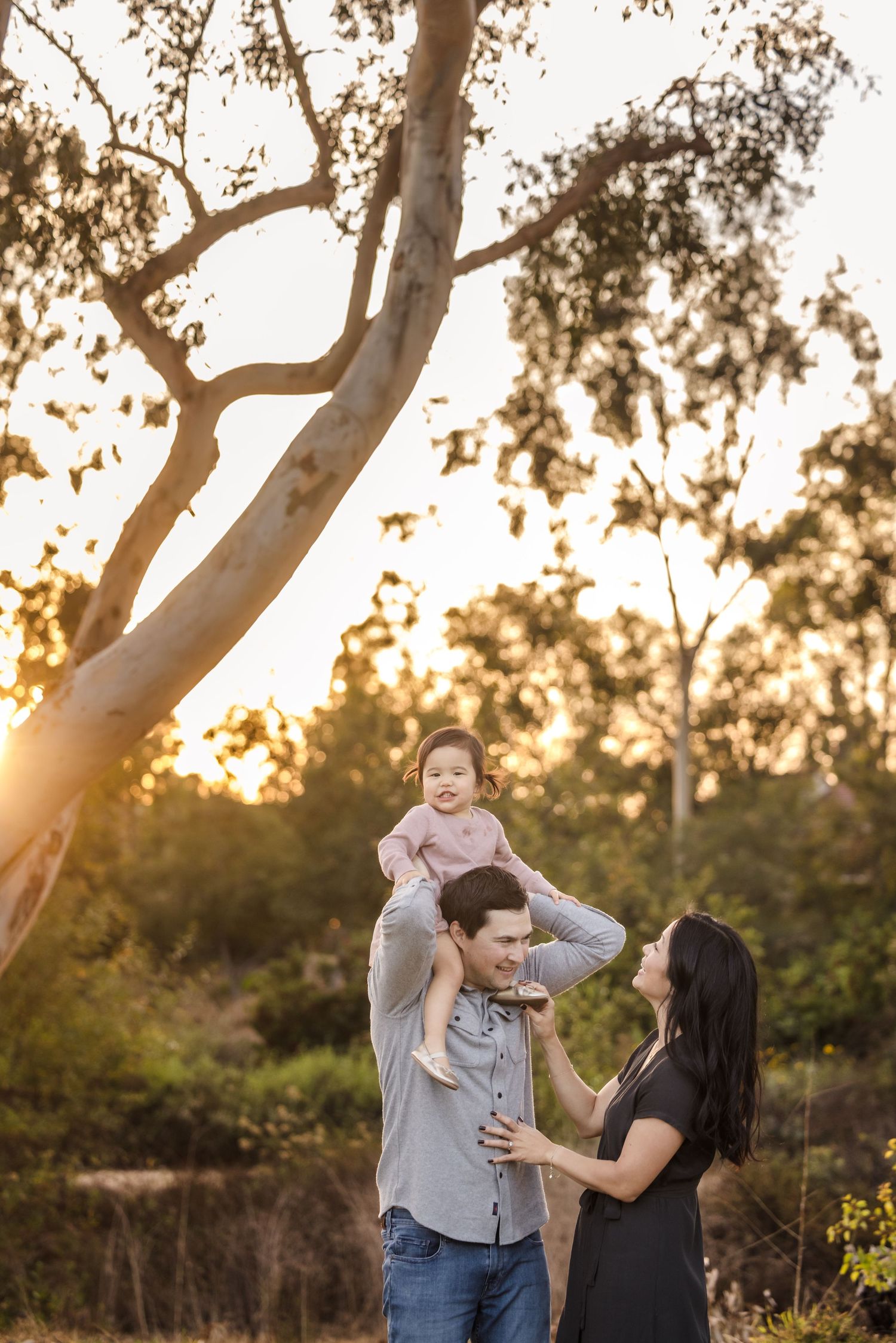 A family enjoys a tender moment together at sunset beneath a eucalyptus tree in a natural outdoor setting.