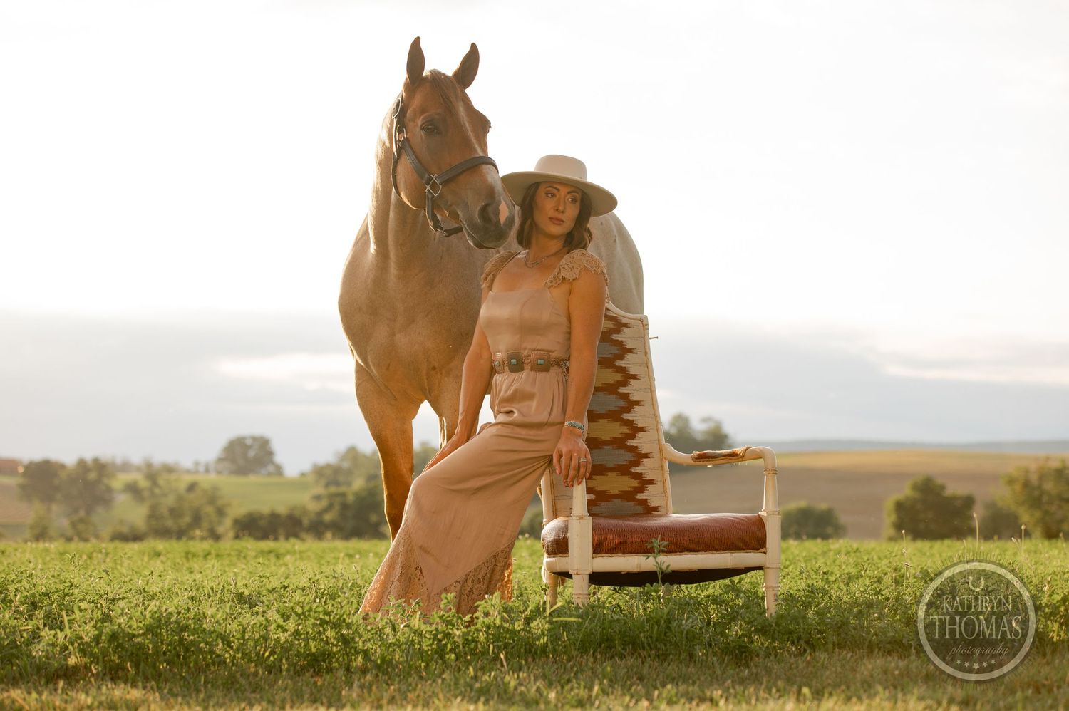 Beautiful brown horse stands majestically next to vintage furniture in golden evening light.