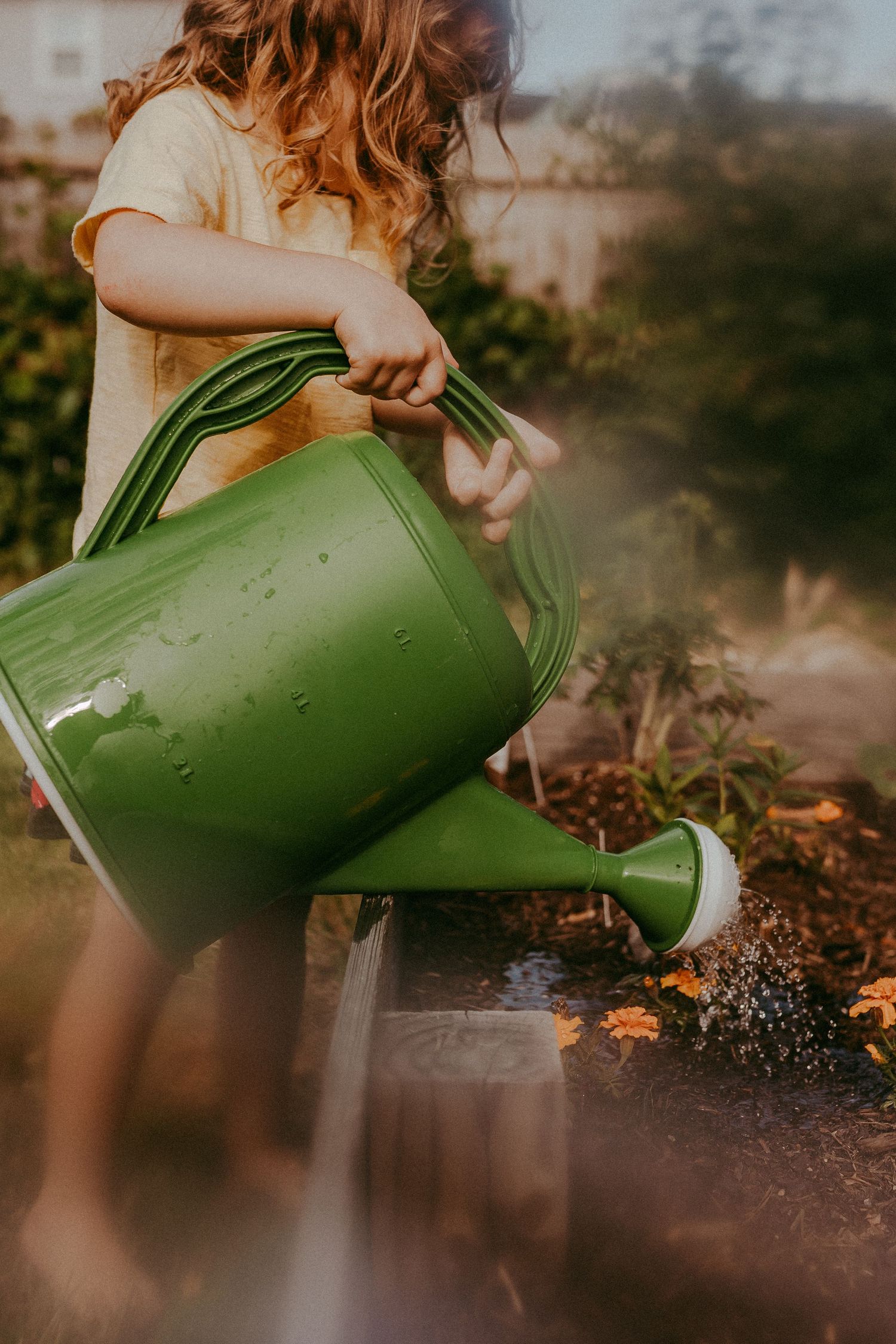 Child watering plants with a large green watering can in a garden during golden hour sunset. Whitney Popp, Virginia.
