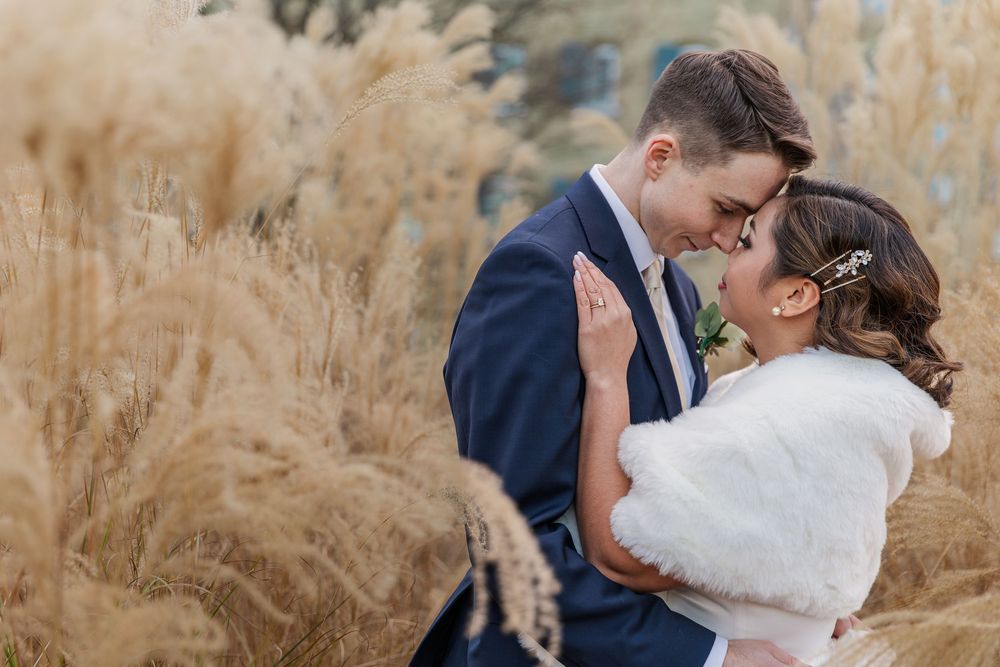 Bride and groom rest their foreheads together amongst the tall dead grasses in uptown waterloo, Ontario.