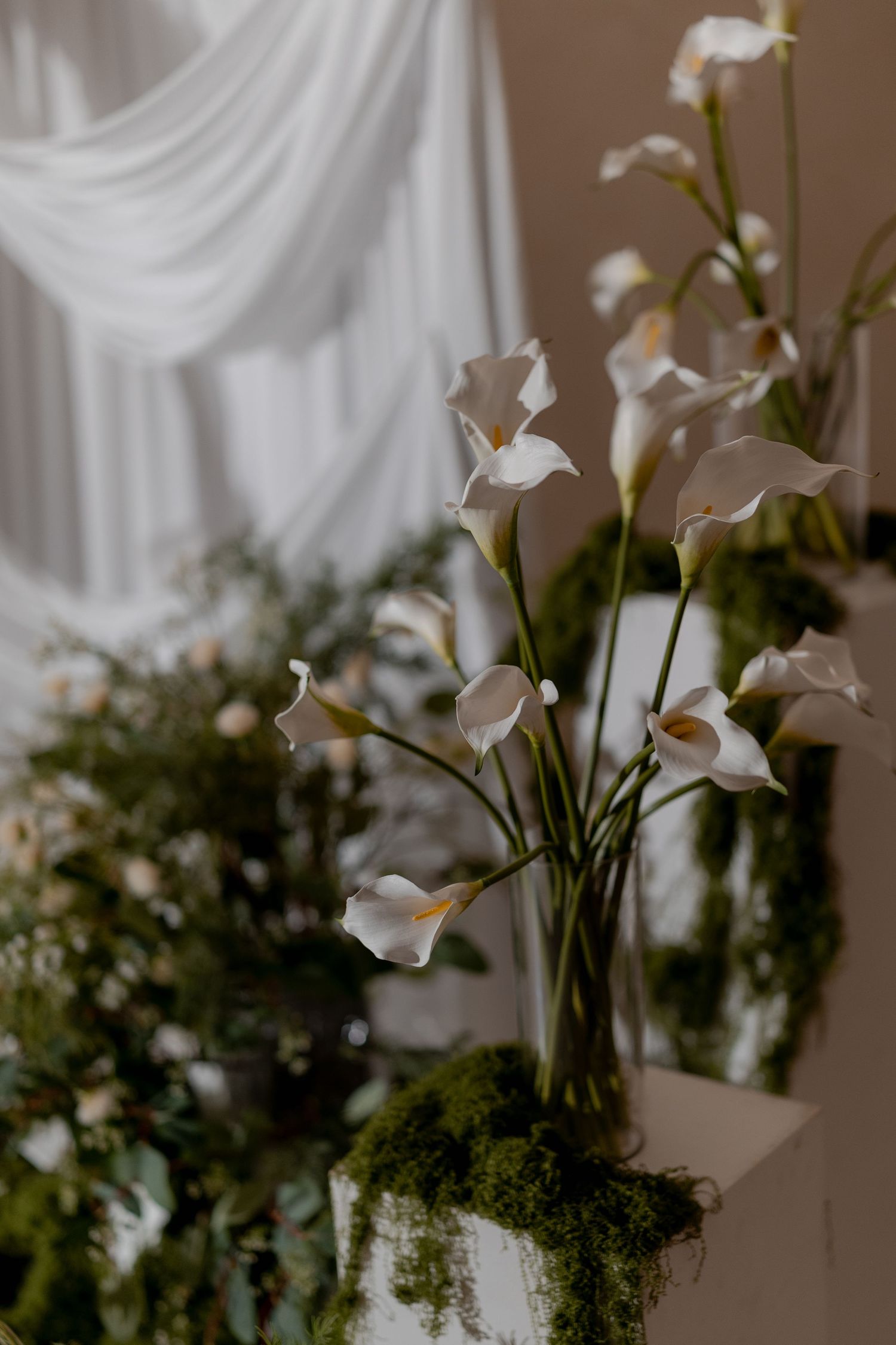 White calla lilies arranged in a moss-covered vase with greenery, set against soft white draped fabric backdrop.