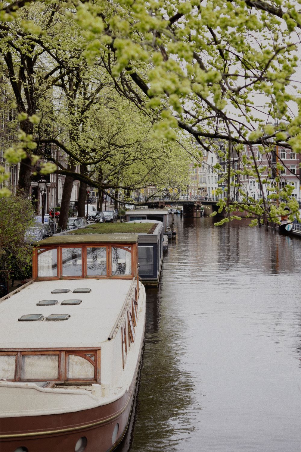 Photo voyage aux Pays-Bas dans la ville d'Amsterdam par Chaemi Studio, photographe à Montpellier. Reportage photo professionnel et créatif.