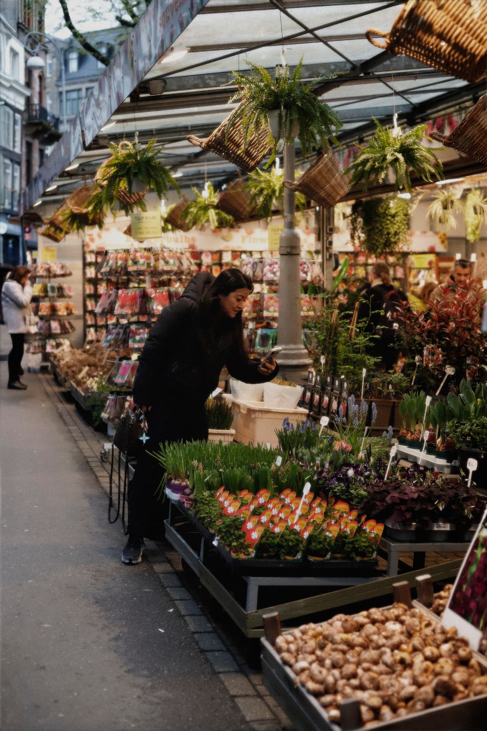 Photo voyage aux Pays-Bas dans la ville d'Amsterdam par Chaemi Studio, photographe à Montpellier. Reportage photo professionnel et créatif.