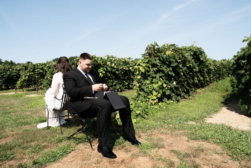Bride and groom sitting on chairs in a vineyard on a sunny day, surrounded by lush green grapevines.