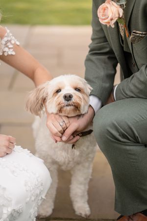 Bride and groom in green suit petting their fluffy white dog during wedding ceremony outdoors.