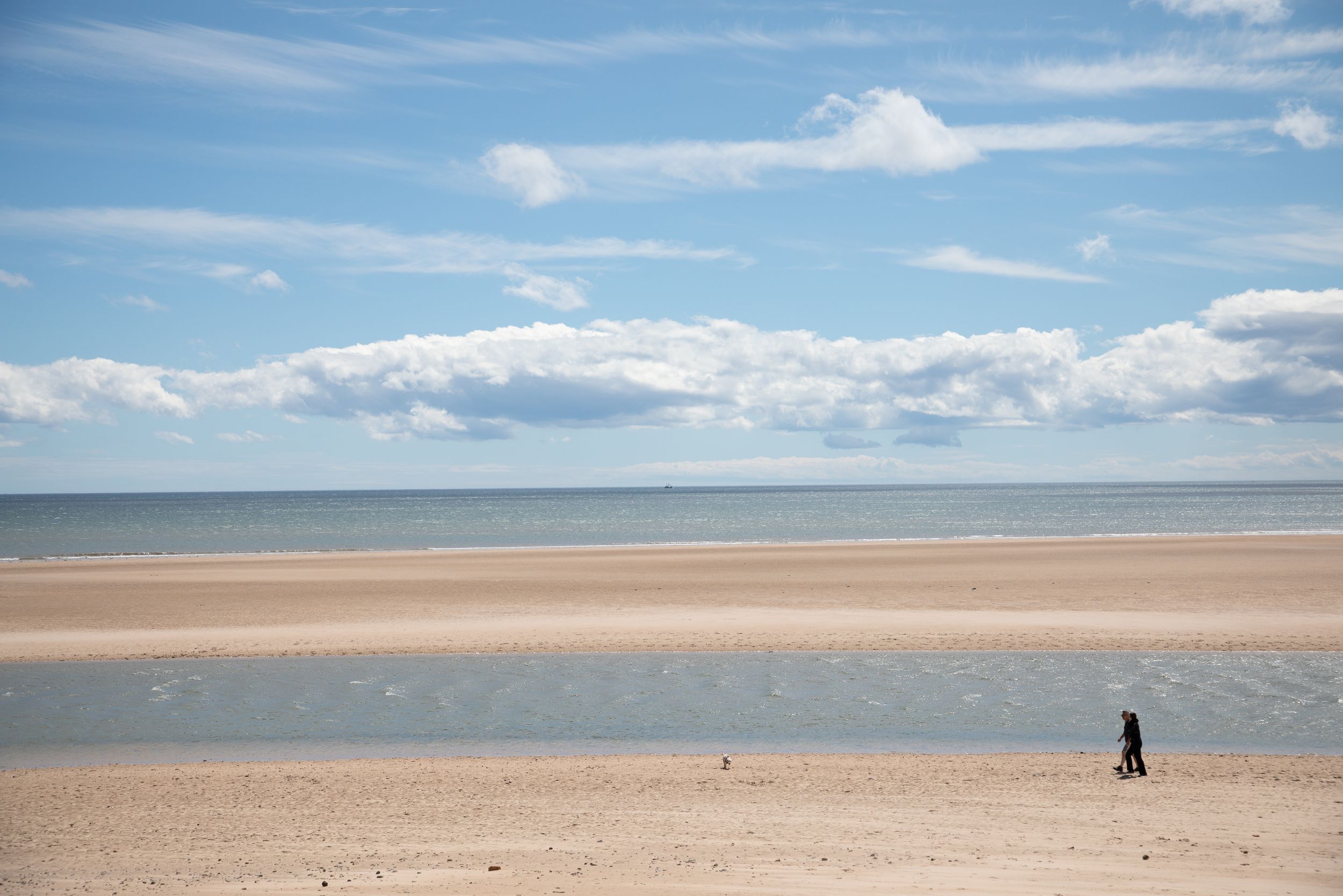 A lone person walking on a vast sandy beach under a blue sky with fluffy white clouds.