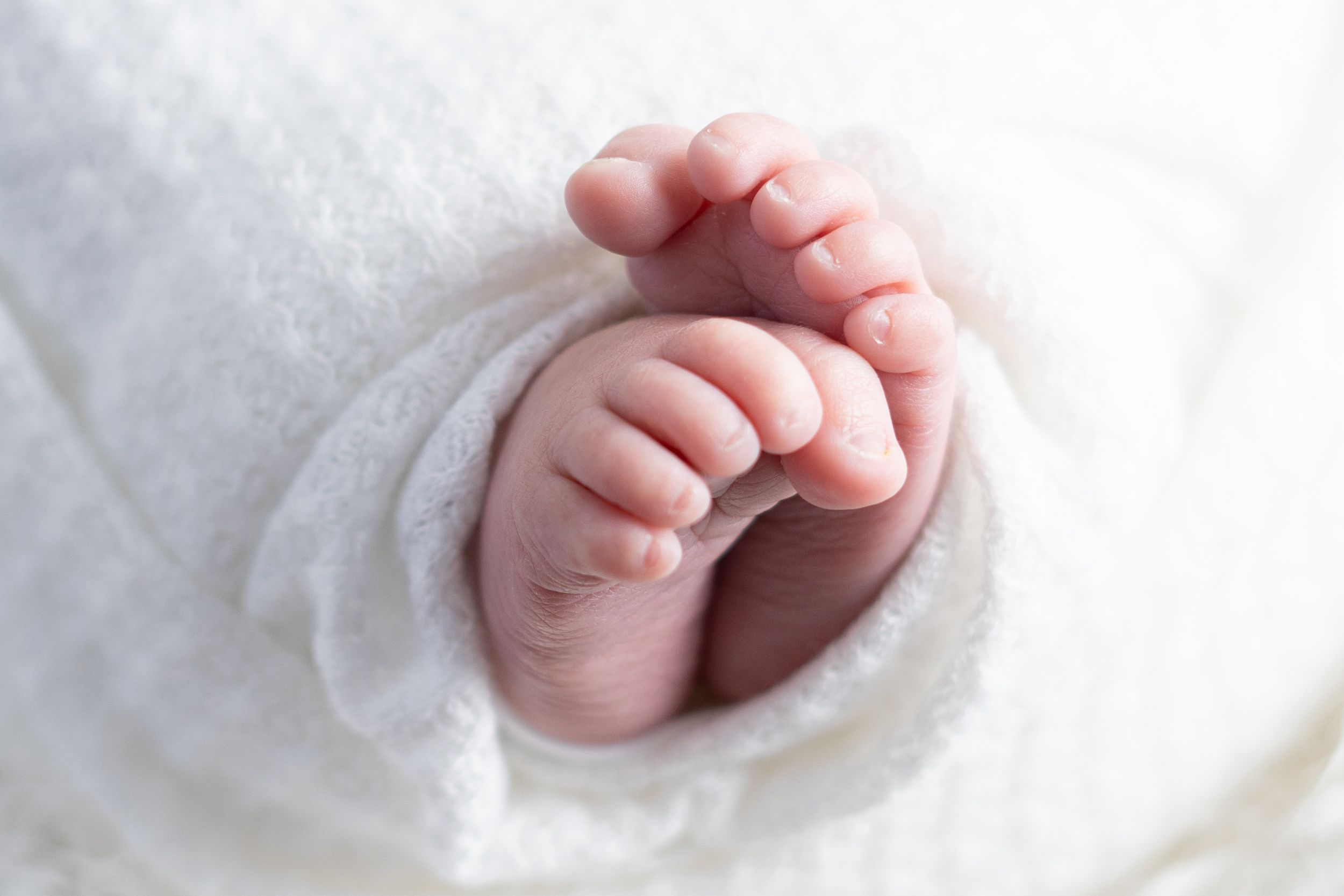 Close-up of a newborn baby's tiny feet and hands wrapped in a soft white blanket.