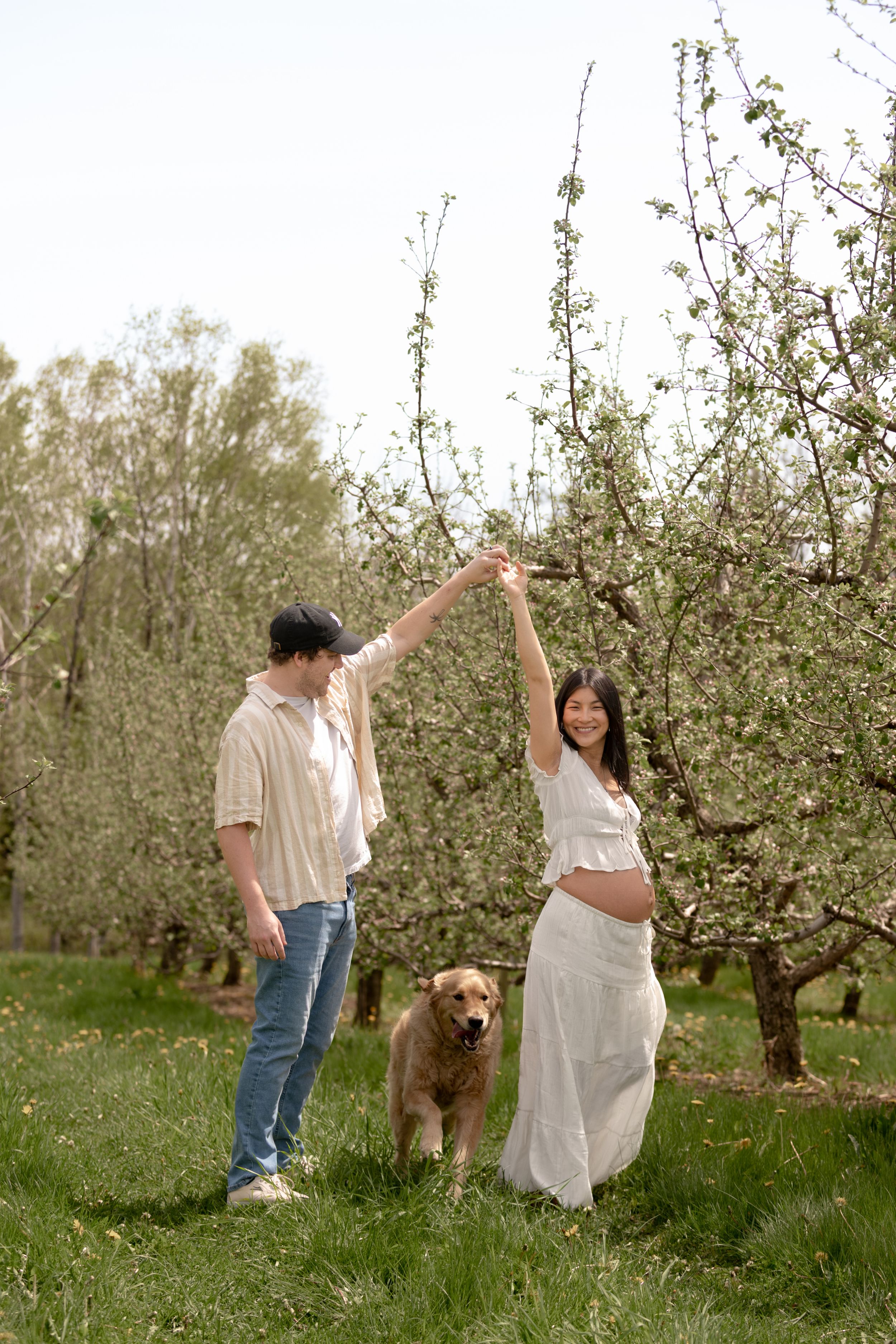 Pregnant woman in white dress dancing with partner and golden retriever in blossoming orchard.