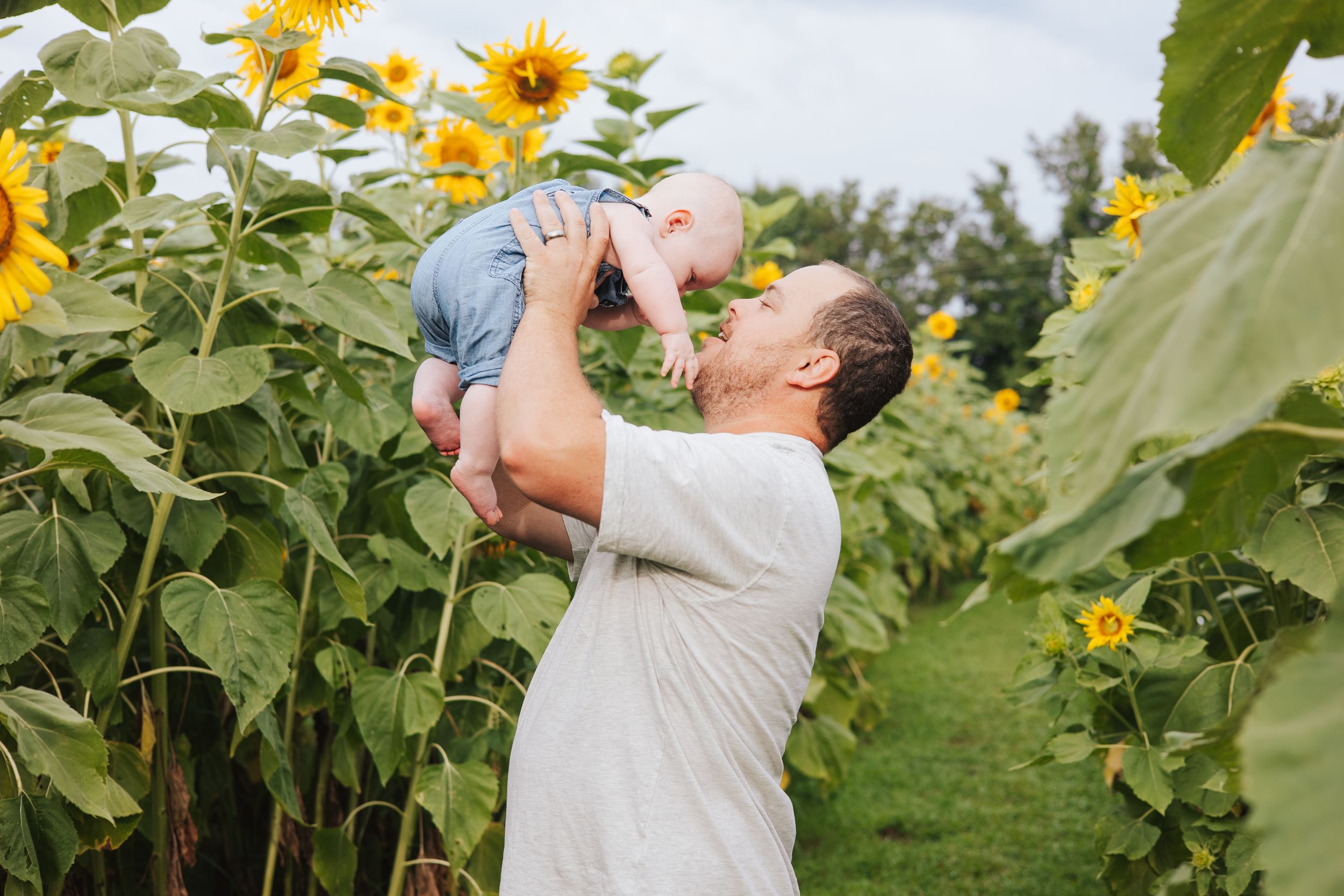 Candid family photos taken in sequence against tall sunflowers.