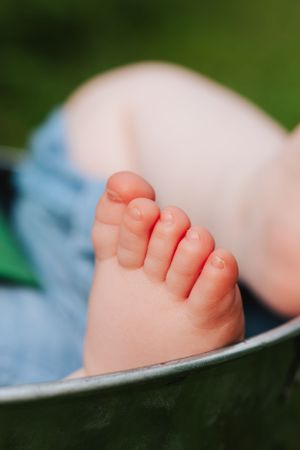 Close-up of tiny baby toes in natural sunlight against blurred green background.