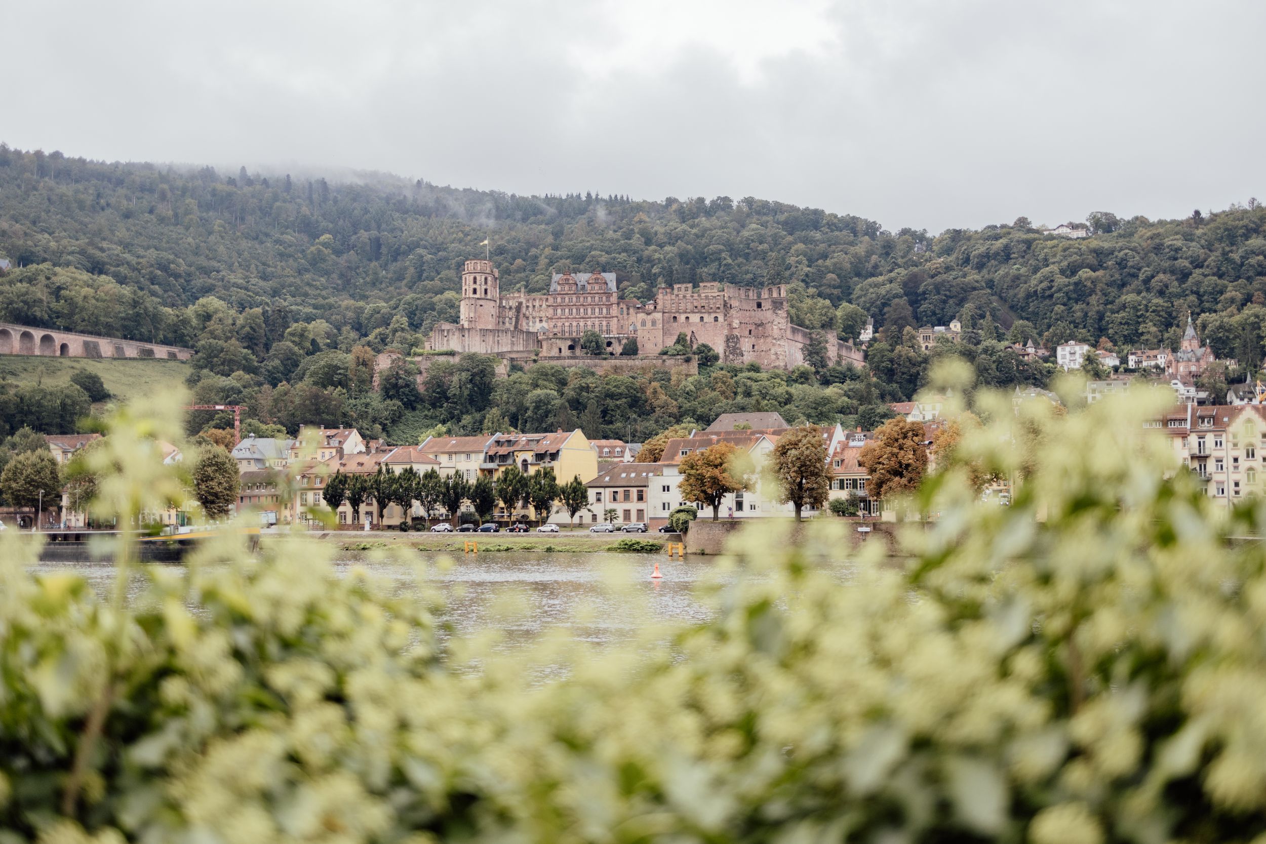 heidelberg castle wedding photography