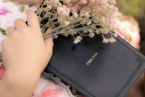 Close-up view of hands holding a black Bible against a backdrop of pink flower blossoms and greenery. In Pearland, TX
