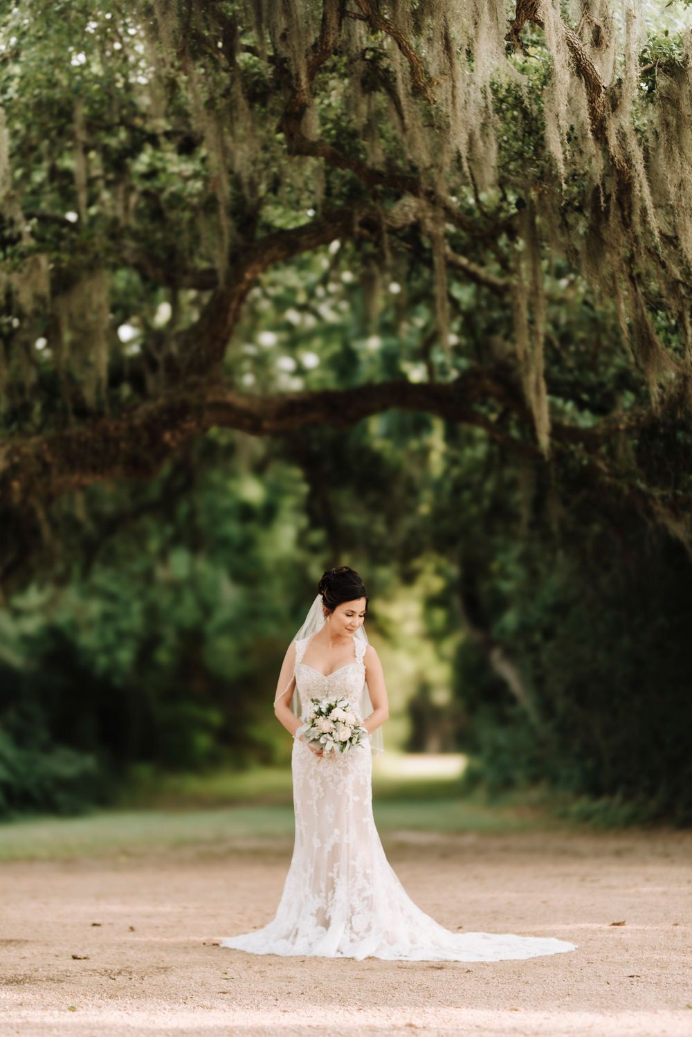 bridal portraits