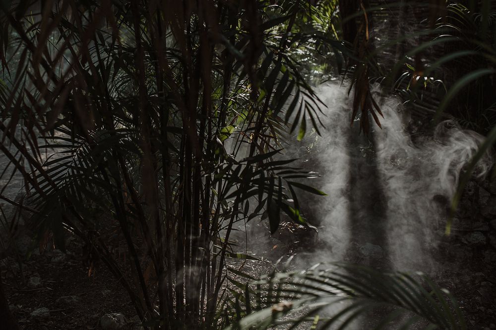 Editorial maternity portrait with copal smoke in the jungle of Tulum