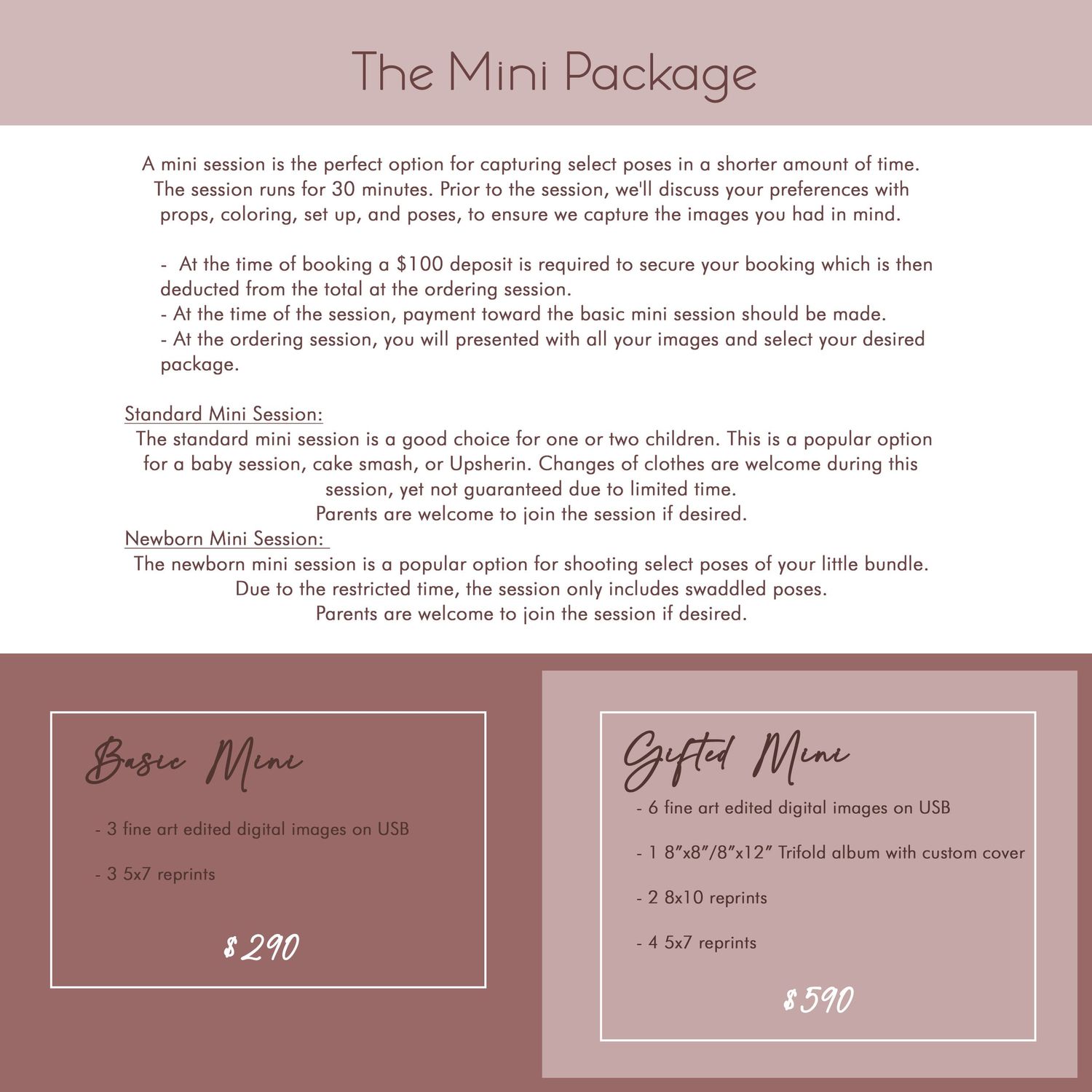 Photography mini package pricing details on blush pink background.