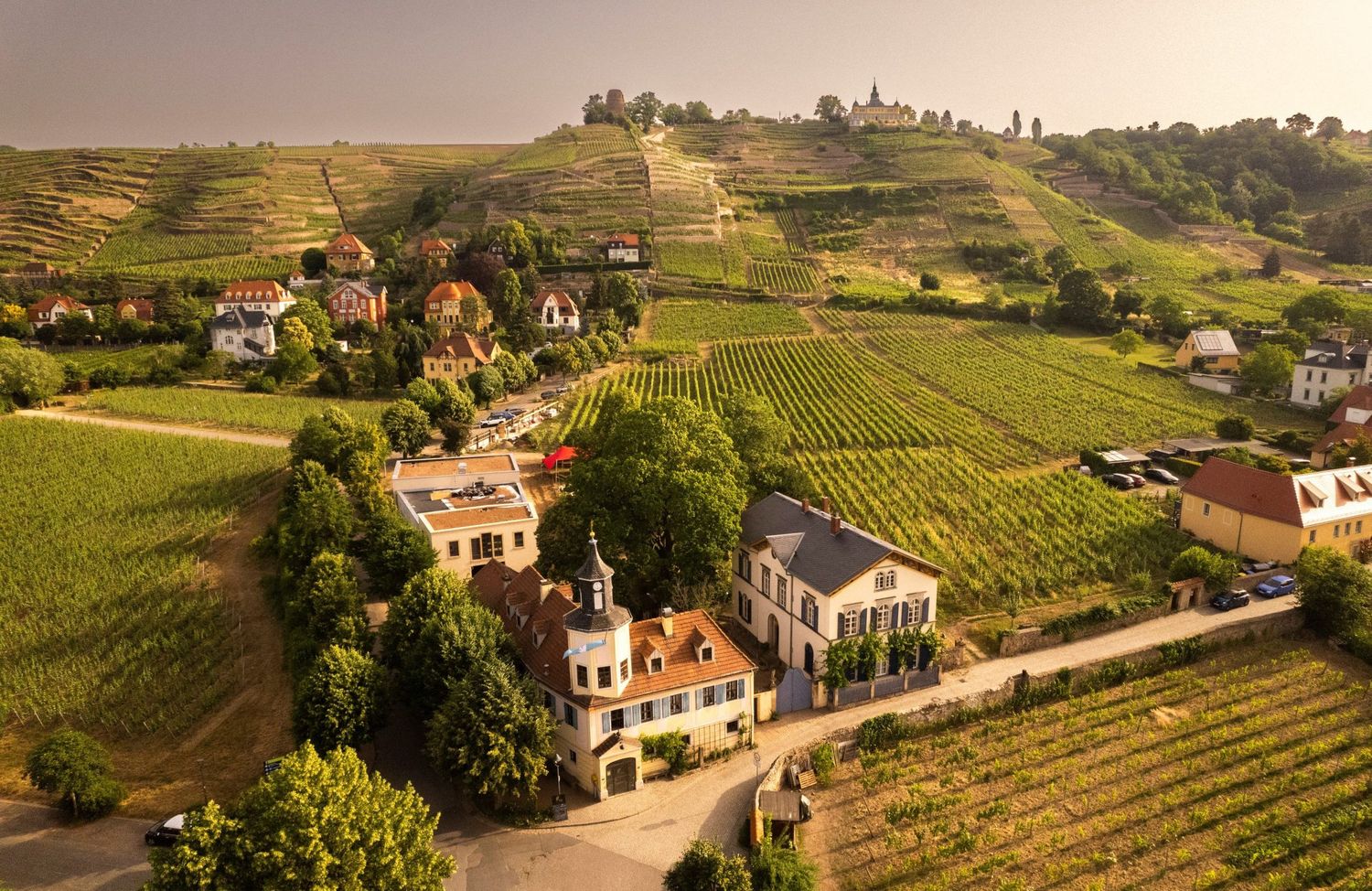 Aerial view of a picturesque vineyard village with terraced hills and scattered houses among green grapevines. Near Dresden/Germany.