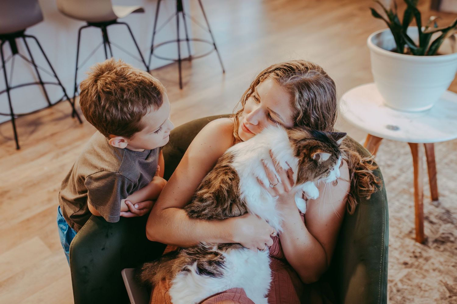Whitney Popp photographer, mom with cat looking at son in house.