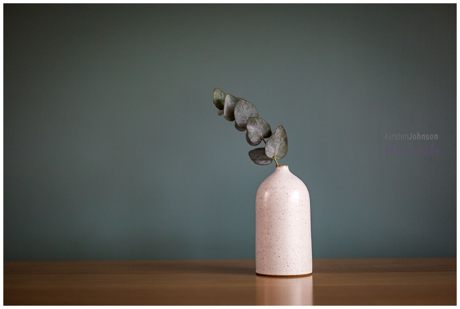 Minimalist still life of dried eucalyptus branch in white ceramic vase against dark background.