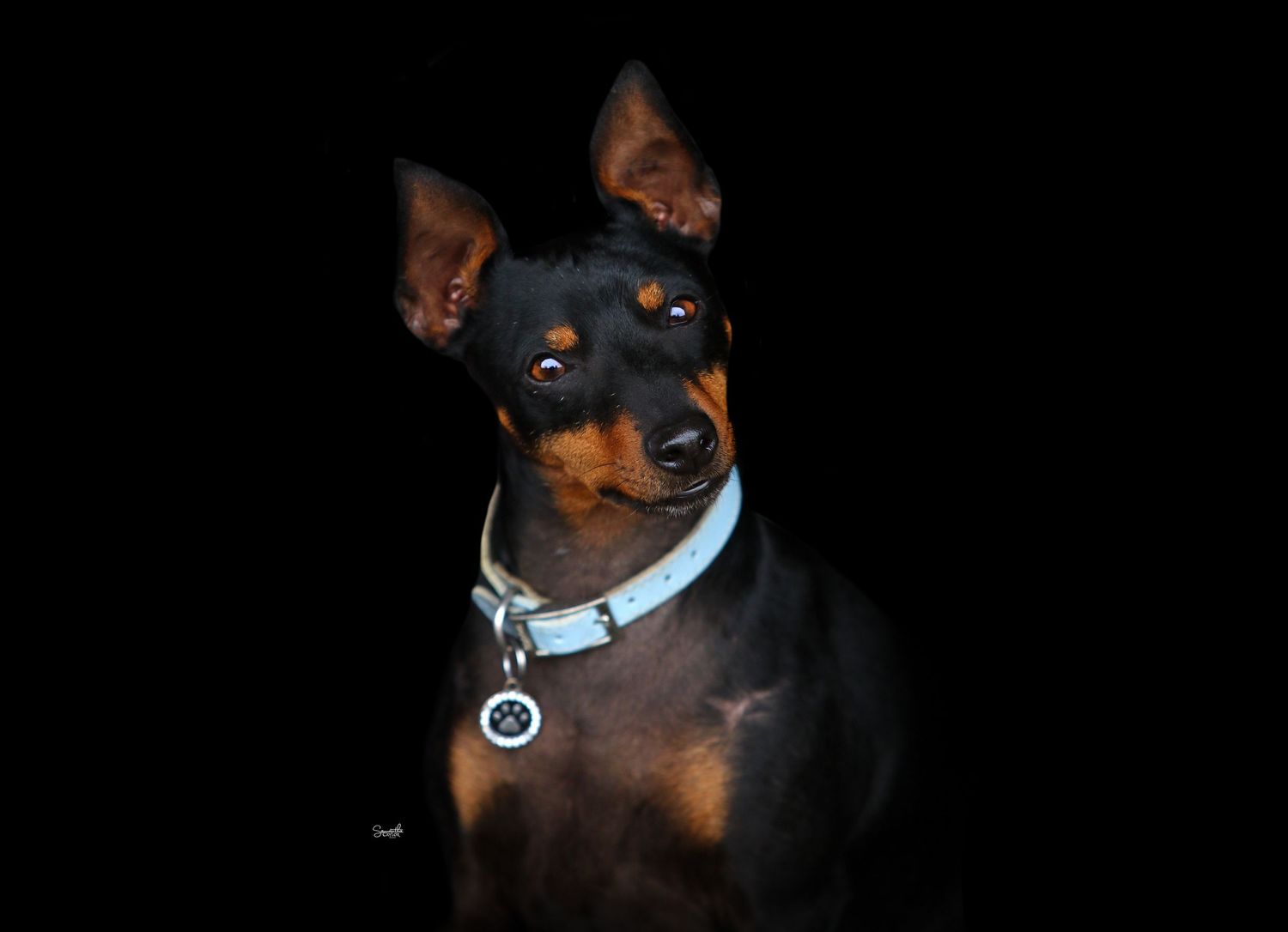 Photographer & Graphic Designer based in Longwarry, Victoria ~ Australia.