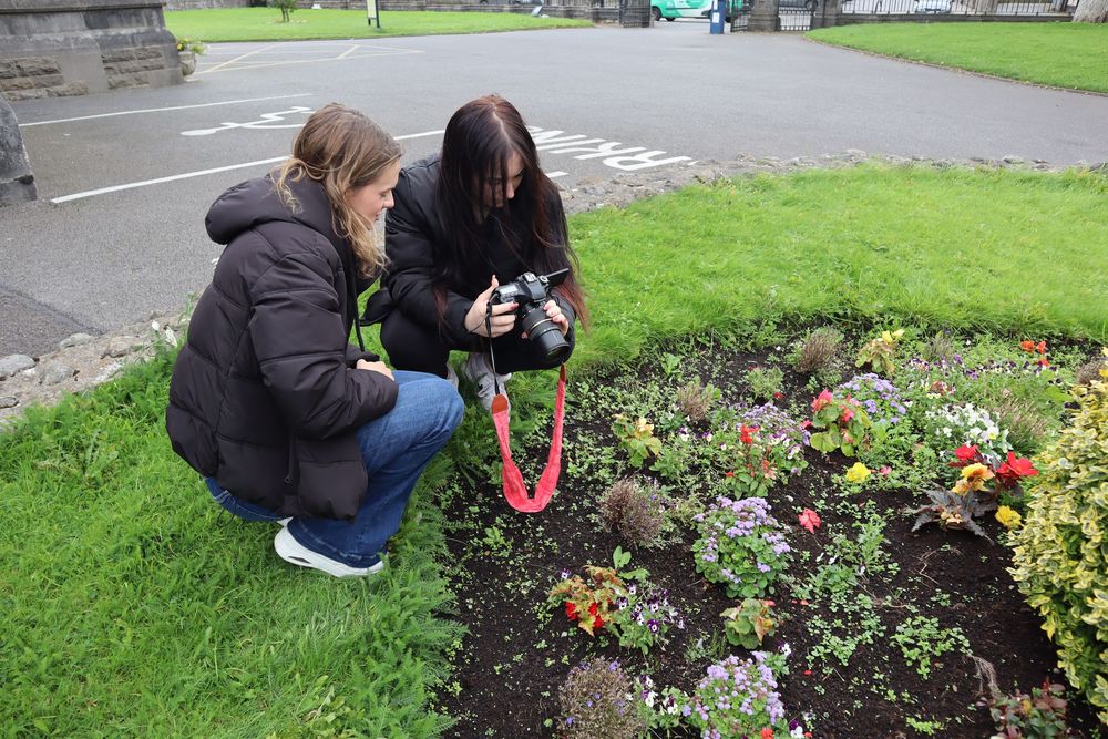 People photographing and examining plants in a garden setting.