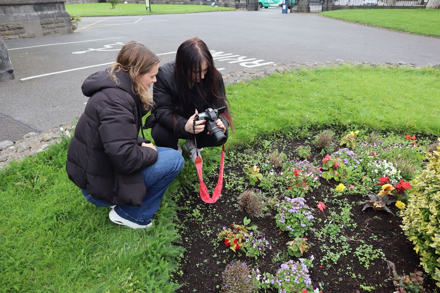 People photographing and examining plants in a garden setting.