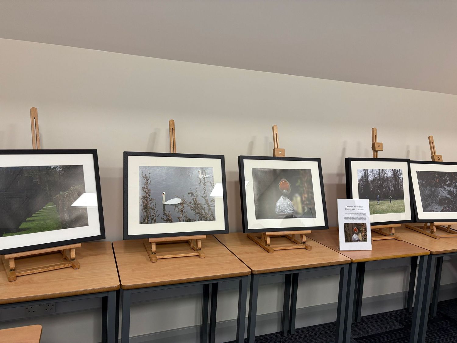Framed nature photographs displayed on wooden easels in a row at an indoor art exhibition.