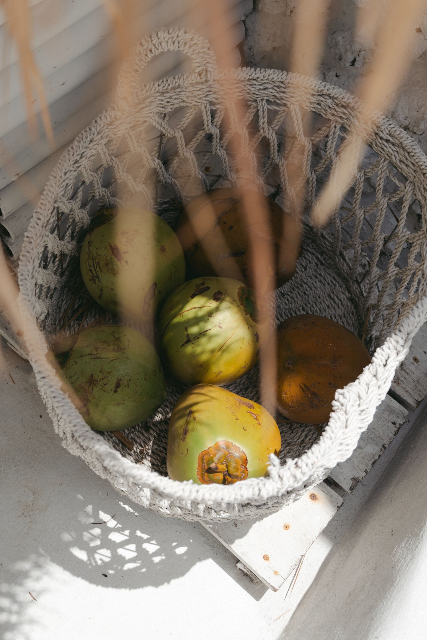 Fresh tropical fruits sitting in a metal strainer basket viewed from above.