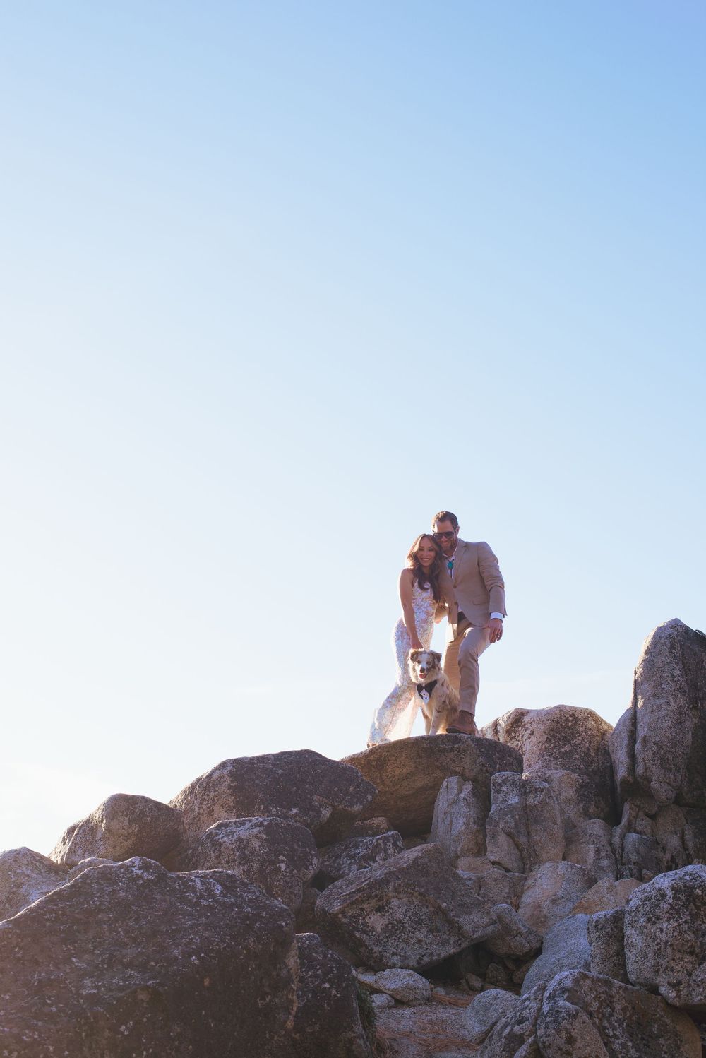 Bride and groom standing on rocks with dog during outdoor wedding portrait session.