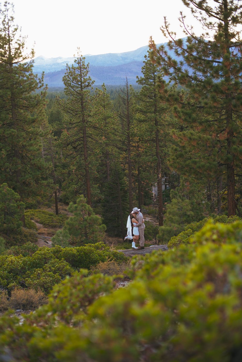 Wedding couple embracing on rocky forest path surrounded by pine trees and mountain landscape.
