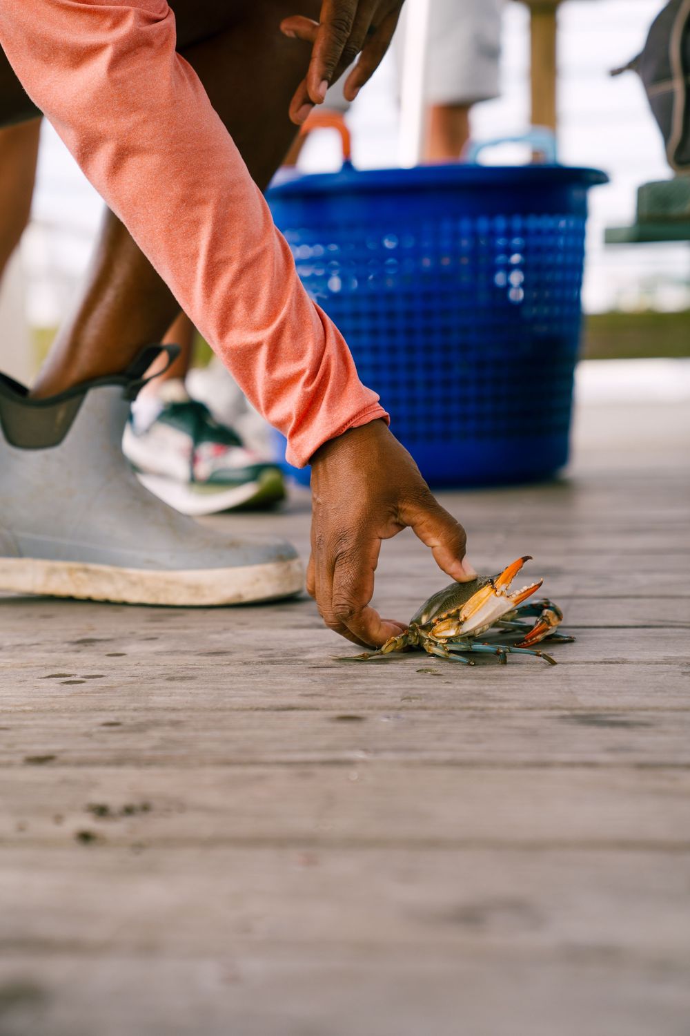 Close-up of a hand reaching down to pick up something from a wooden deck.
