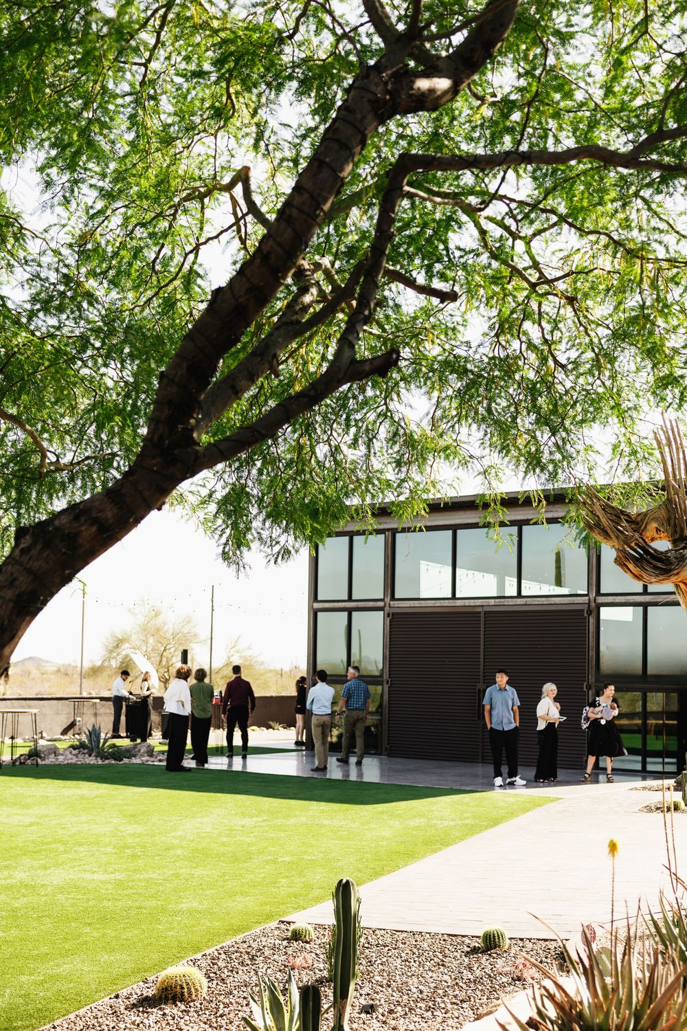 Modern building with large windows under a sprawling tree on a manicured lawn.