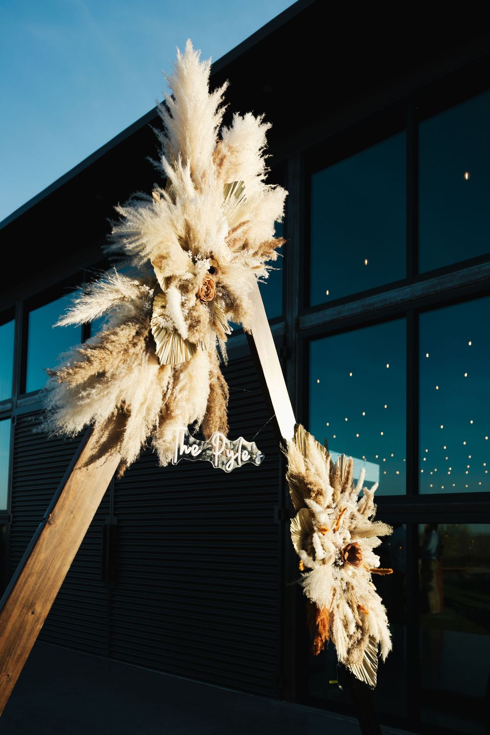 Pampas grass decorations against dark windows with twinkling lights.