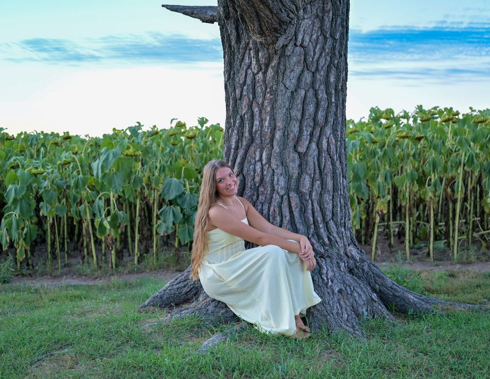 Woman in white dress sitting against large tree trunk beside sunflower field at dusk.