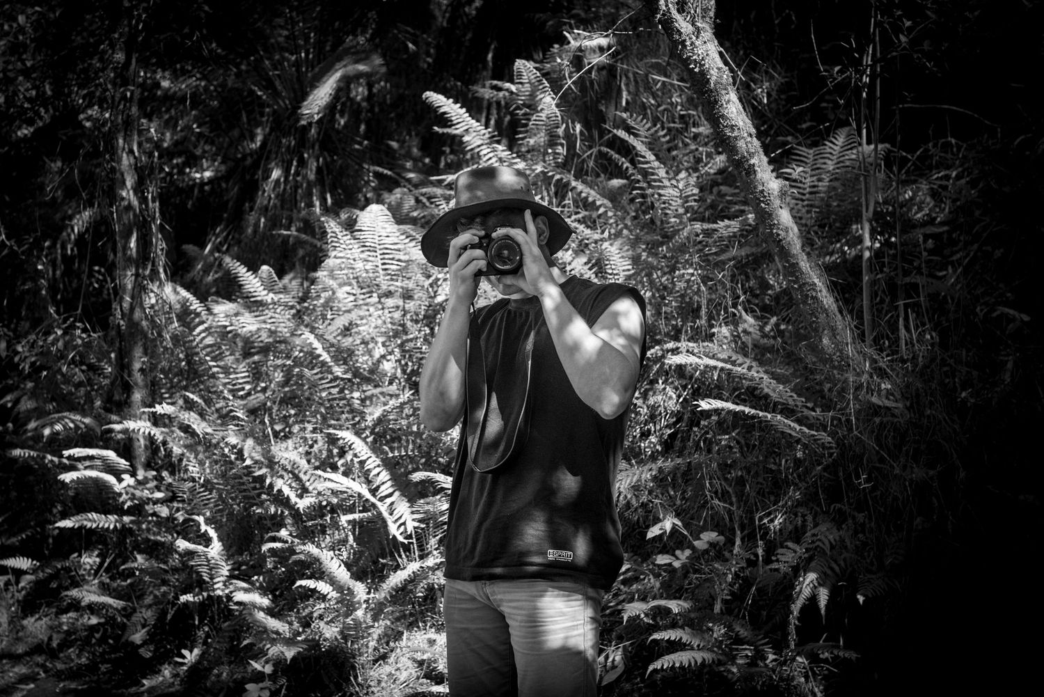 A person photographing nature while standing among lush ferns in a black and white forest scene.