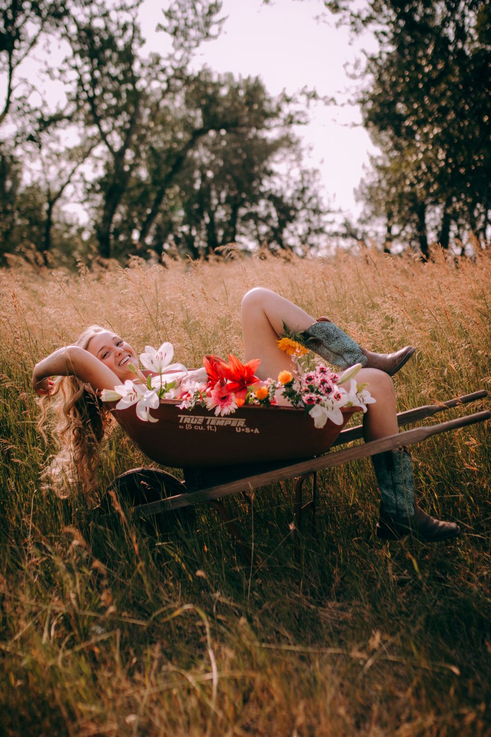 Dreamy countryside scene with flowers in an old wheelbarrow among tall grass at sunset.